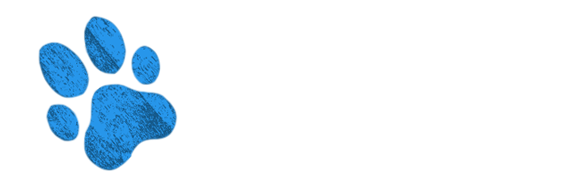 Affordable Pet Clinic
